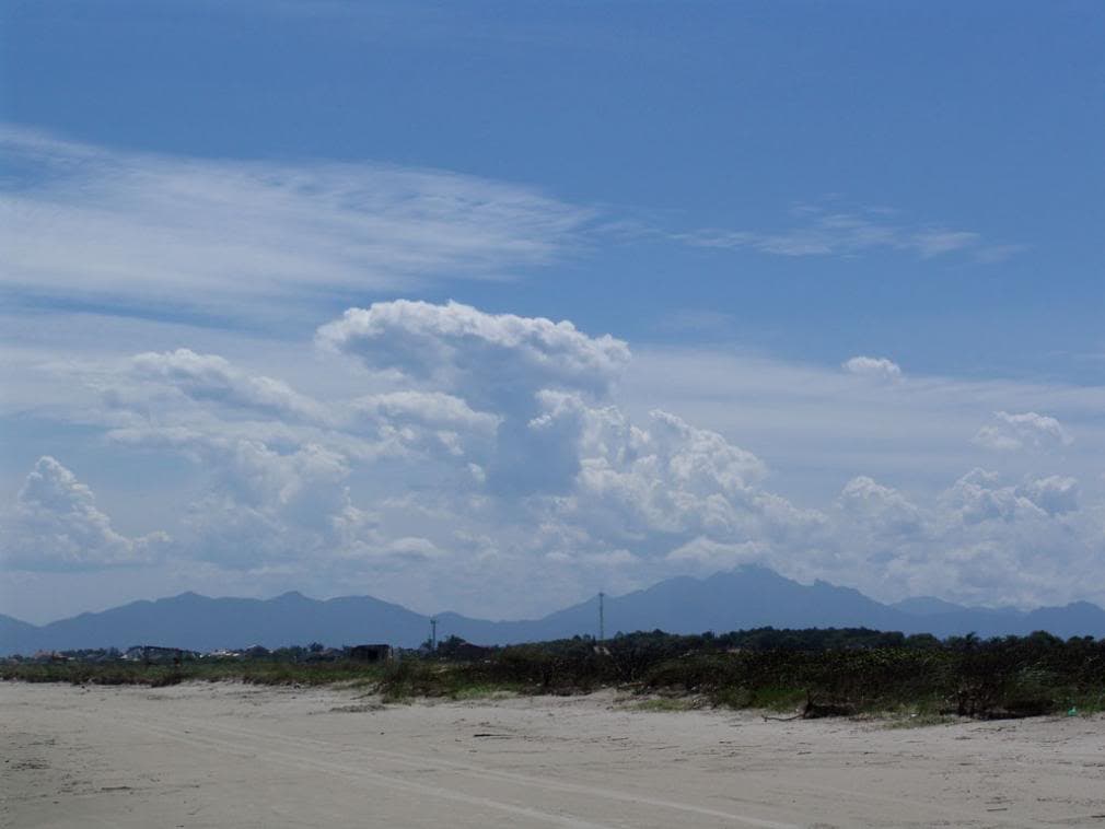 Vegetação nativa de restinga preservada e dunas junto à praia