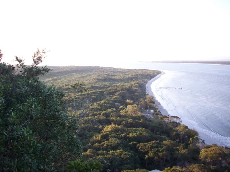 Vista da Ilha do Mel entre a vegetação e o mar